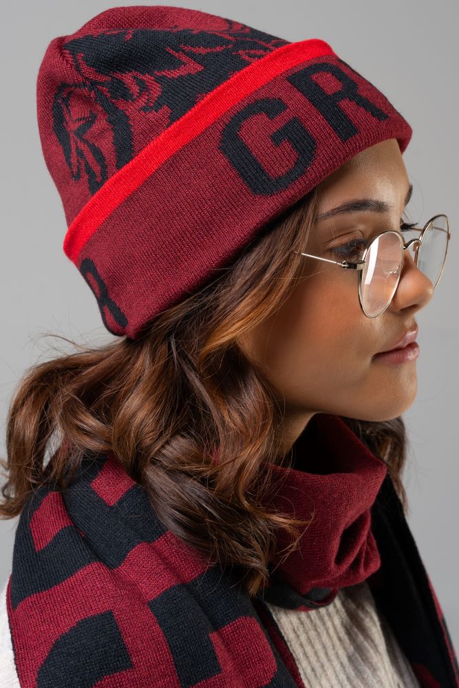 Harry Potter Gryffindor Luxury Adults Beanie & Jacquard Scarf Set