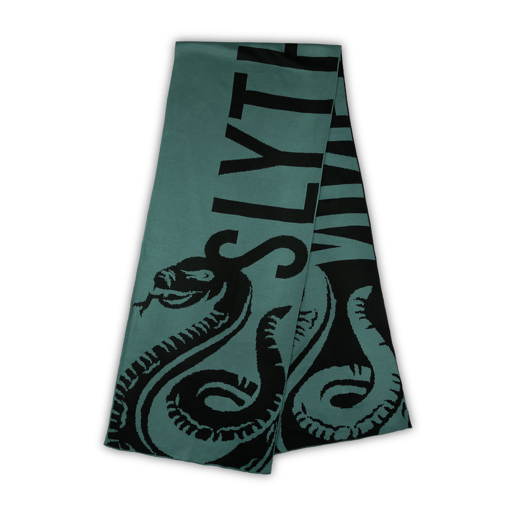 Harry Potter Slytherin Luxury Adults Beanie & Jacquard Scarf Set