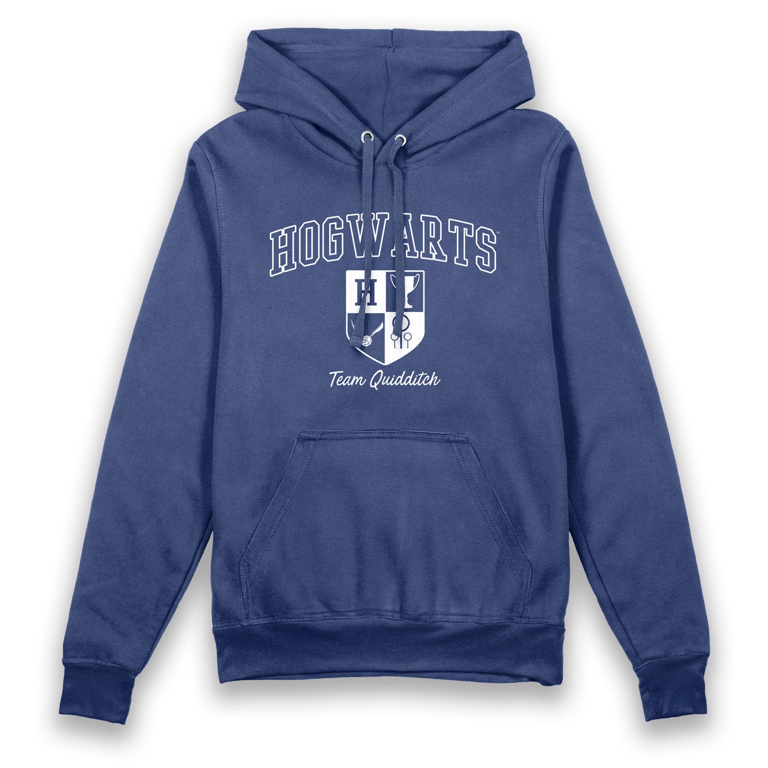 Harry Potter Hogwarts Team Quidditch Vintage Adults Hoodie