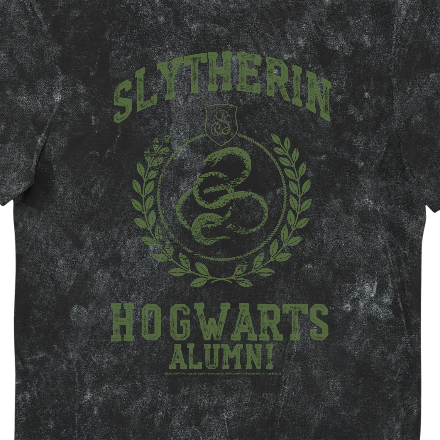 Harry Potter Slytherin Hogwarts Alumni Vintage Style Adults T-Shirt