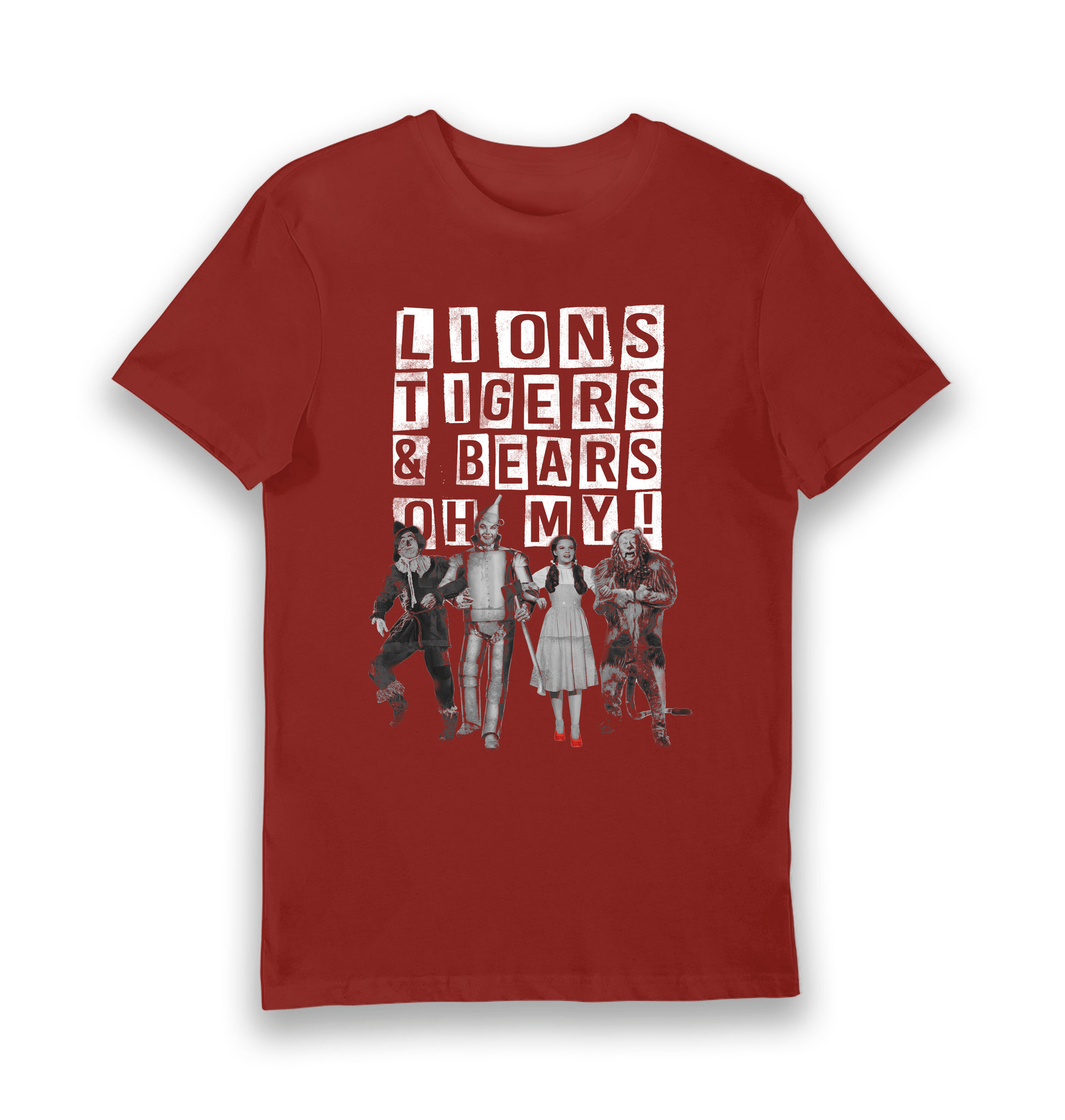 Brick Red Printed T-shirt Front