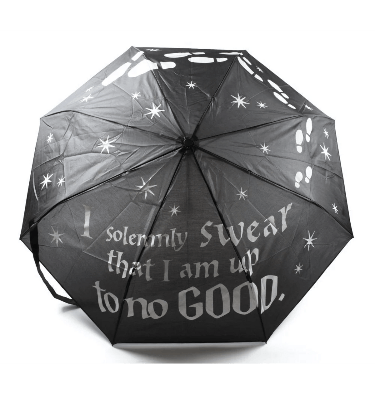 Black Umbrellas Front