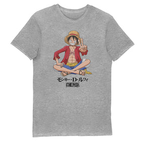 One Piece Luffy Grey Adults T-Shirt