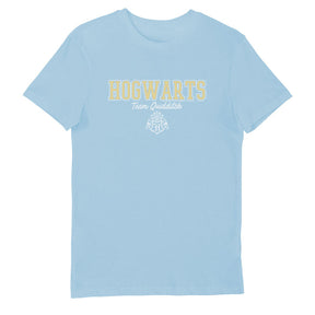 Harry Potter Hogwarts Team Quidditch Blue Adults T-Shirt