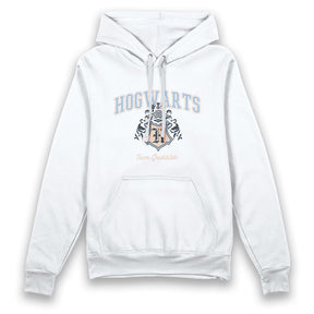 Harry Potter Hogwarts Team Quidditch Adults Hoodie