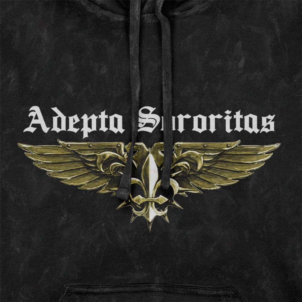 Warhammer 40,000 The Sisters Of Battle Adepta Sororitas Adults Age Washed Hoodie