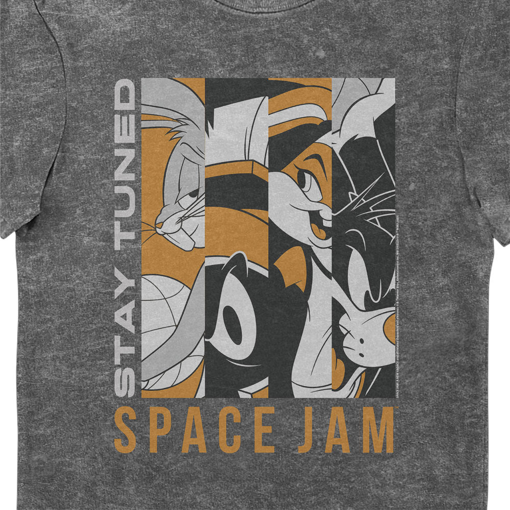 Space Jam A New Legacy Looney Tunes Stay Tuned Vintage Adults T-Shirt