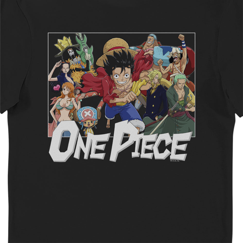 One Piece Group Adults T-Shirt