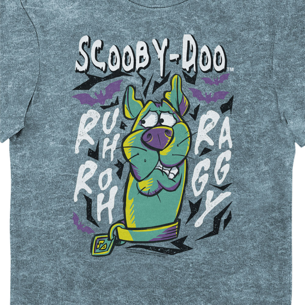 Scooby Doo “Ruh-Roh Raggy” Eco Wash Adults T-Shirt