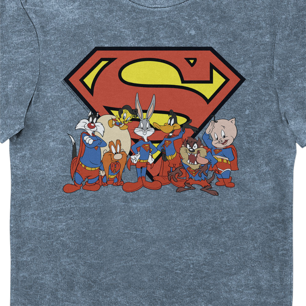 Looney Tunes & DC Comics Characters Superman Eco Wash Adults T-Shirt