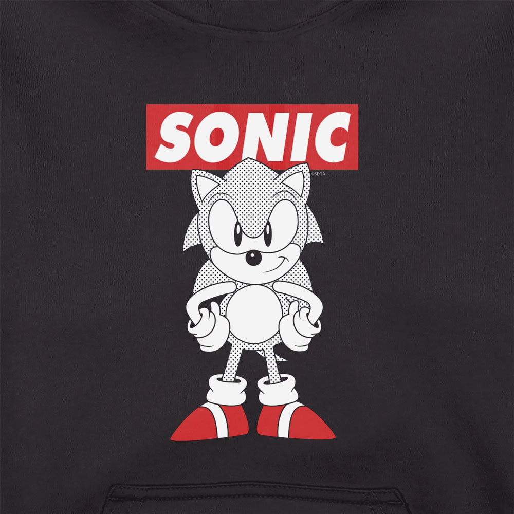 Sonic The Hedgehog Classic Adults Hoodie