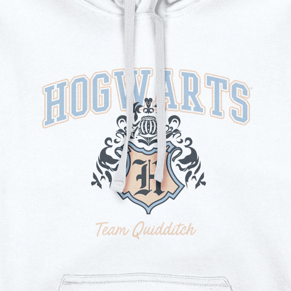 Harry Potter Hogwarts Team Quidditch Adults Hoodie